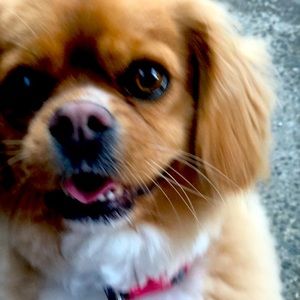 Meet your Posher, Wendy